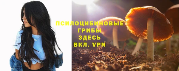 кристаллы Алзамай