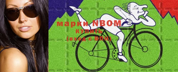 бошки Алексин