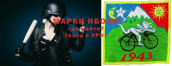 бошки Алексин