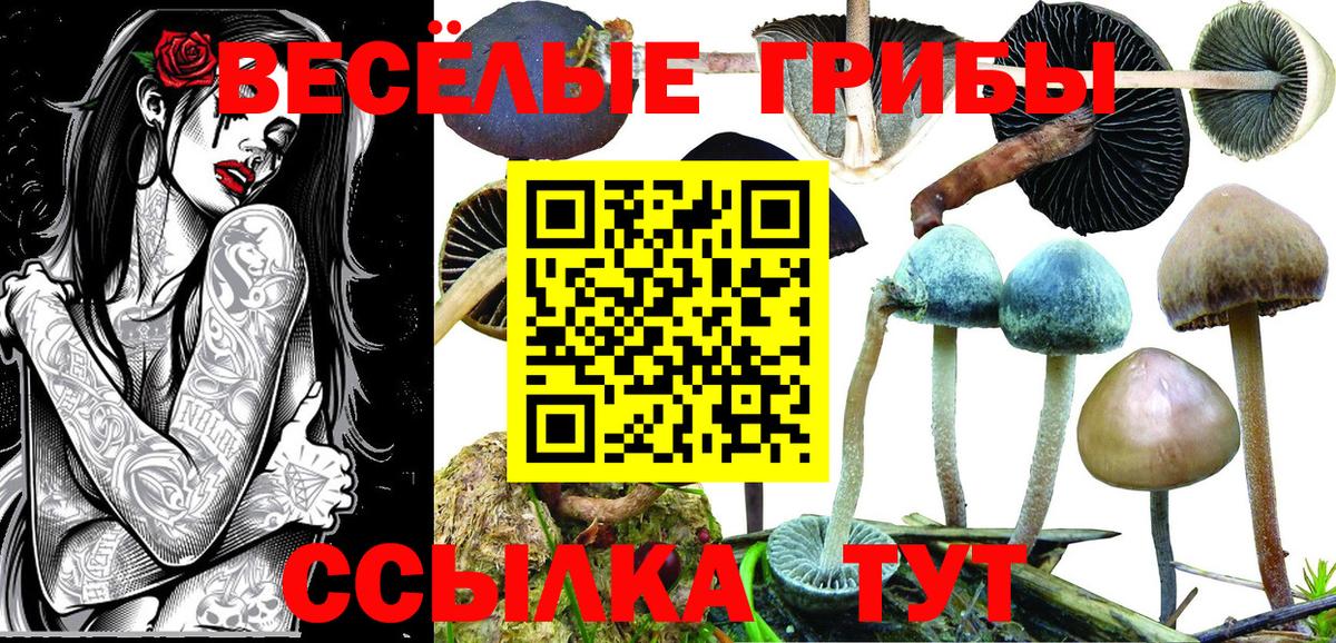 Галлюциногенные грибы мухоморы Ачинск