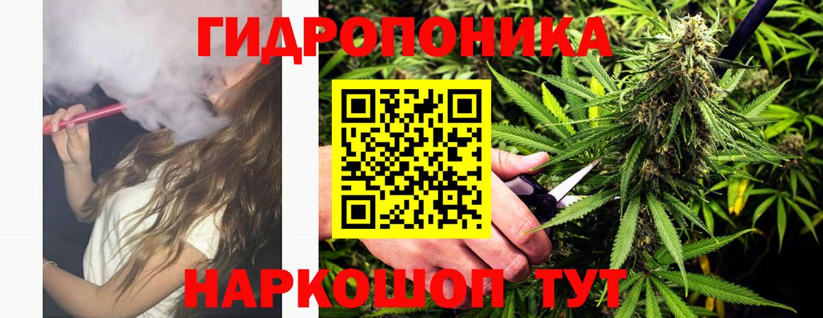 Бошки марихуана планчик Ачинск